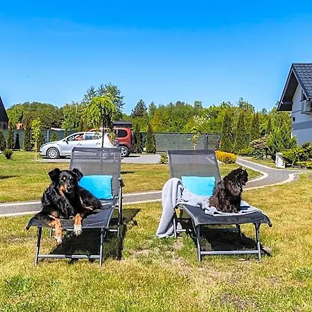 فندق Hygge ميكوشيفو